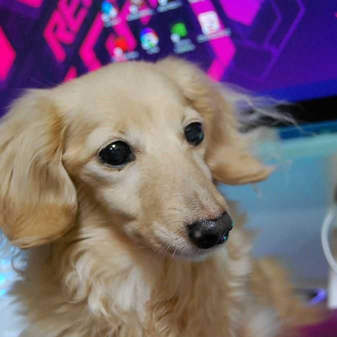 ユーザーアイコン