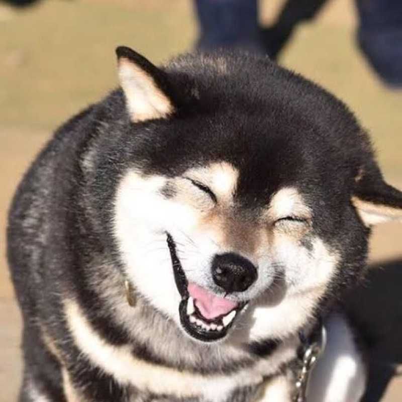 ユーザーアイコン