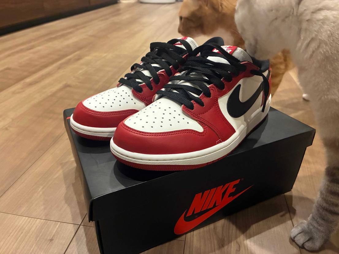 数年振りに何気なくAtmosで応募したのが届いてビックリ
あの時のブームは去っ