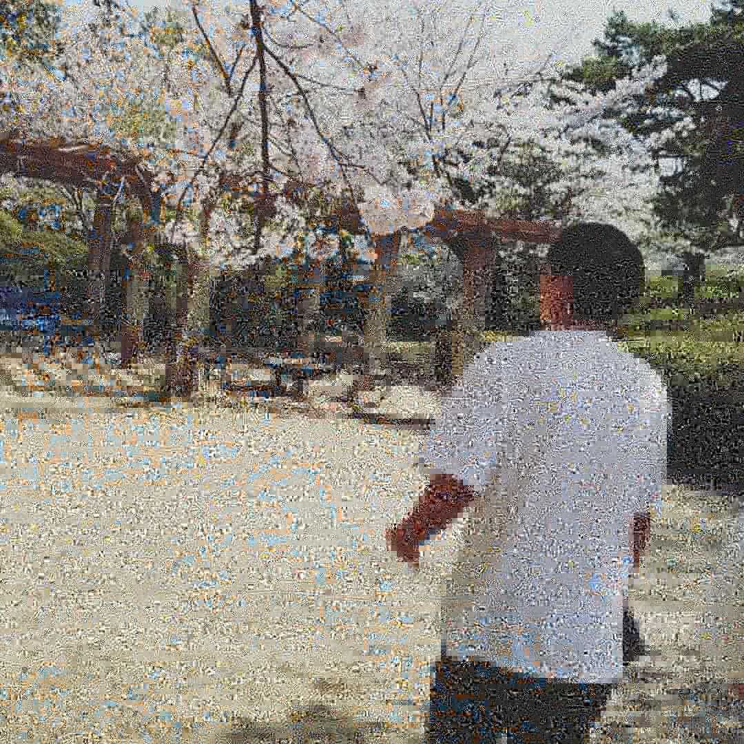 きく(出品者)