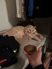 ミル
