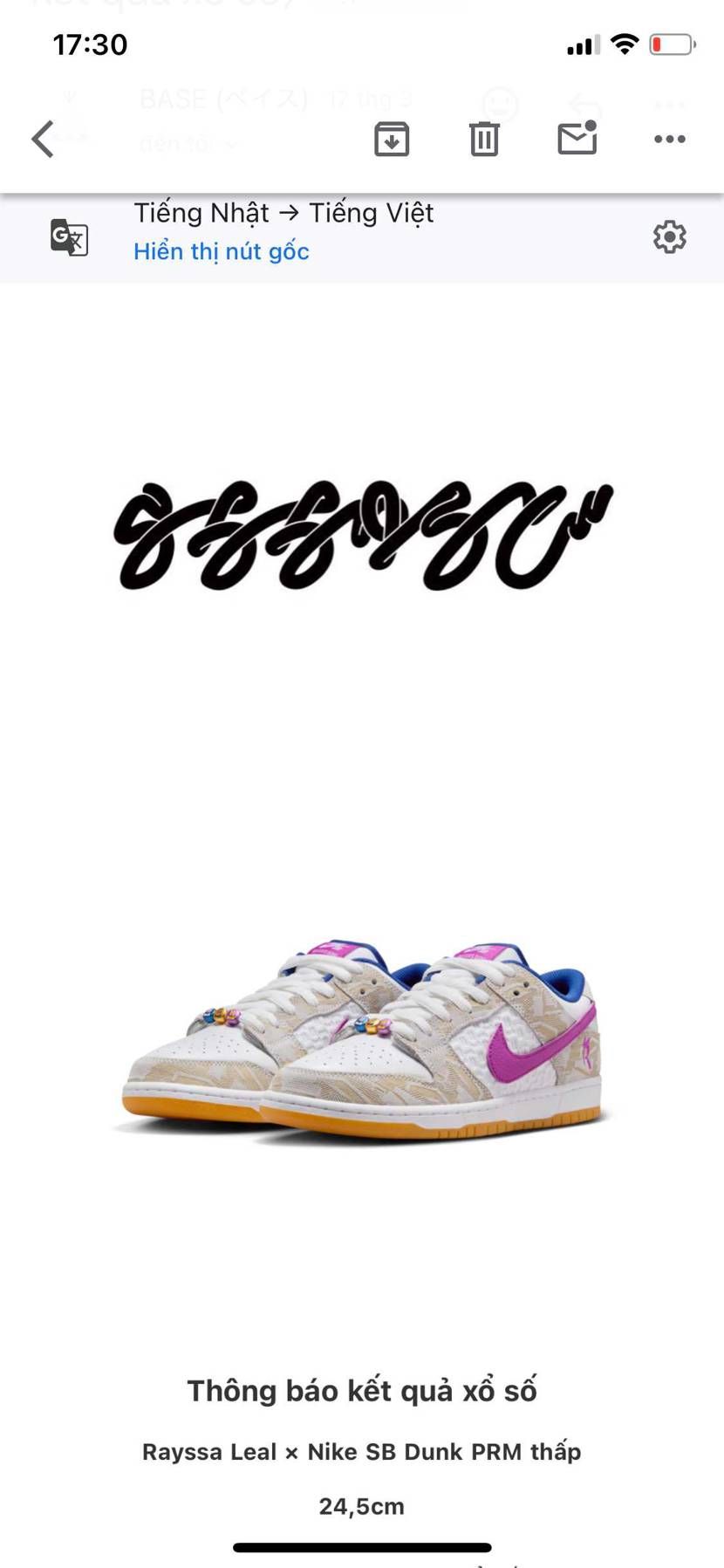 Rayssa Leal × Nike SB Dunk PRM low

24