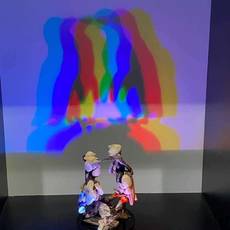 わんわん