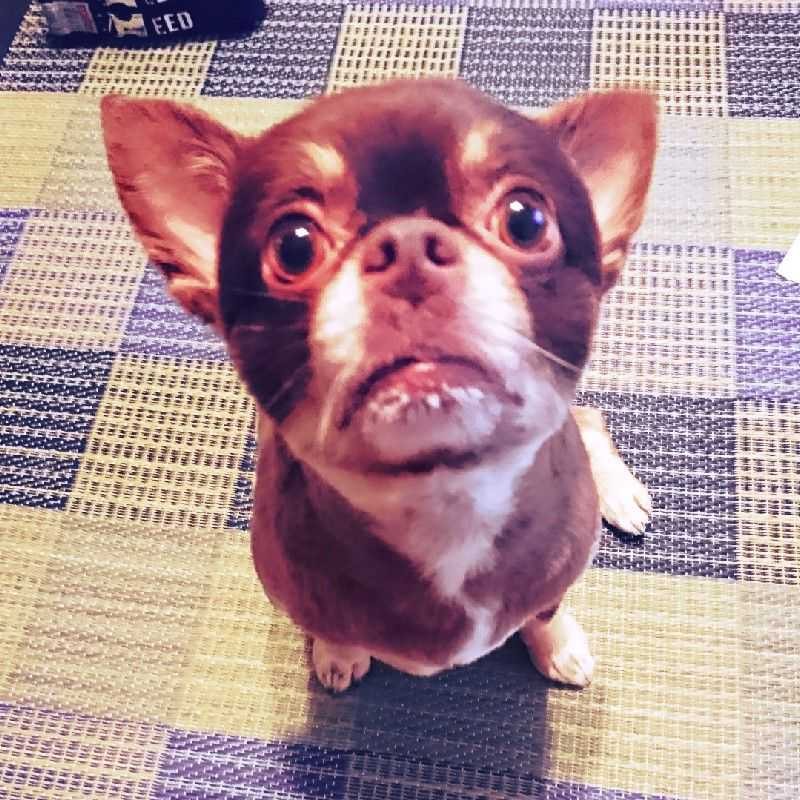 村松弘康