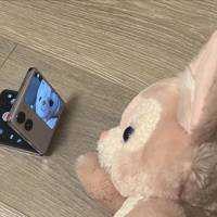 ユーザーアイコン