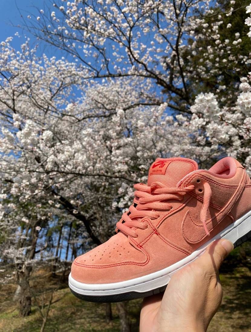 桜ようやく咲きました🥹🌸
こちらこれからが満開です💁
私ロン毛とさ