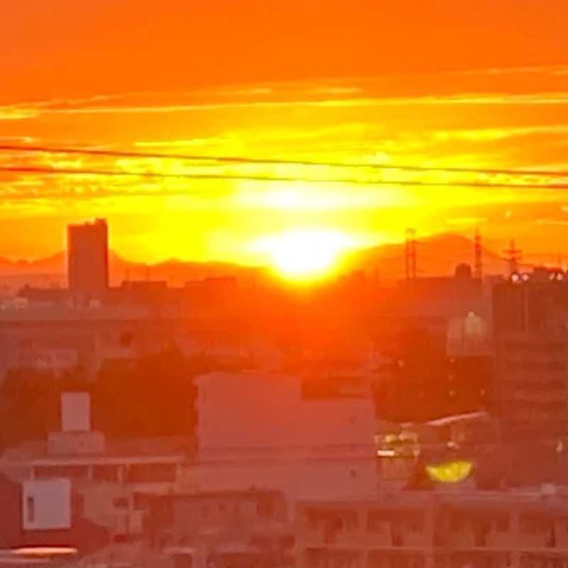 こんぺいとう