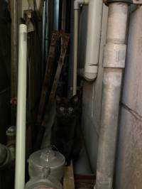 ユーザーアイコン