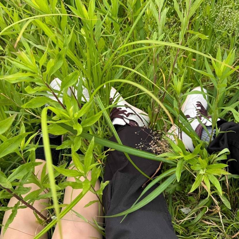 今日は蒸し暑かったので、草むらで涼んできました😚
現場からは以上です🫡