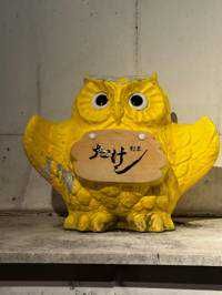 ttrph08
