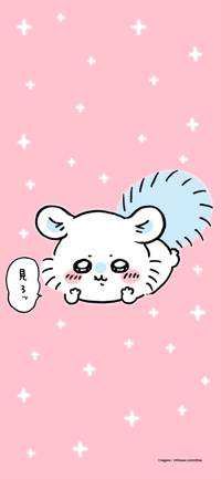 たぬんが(出品者)