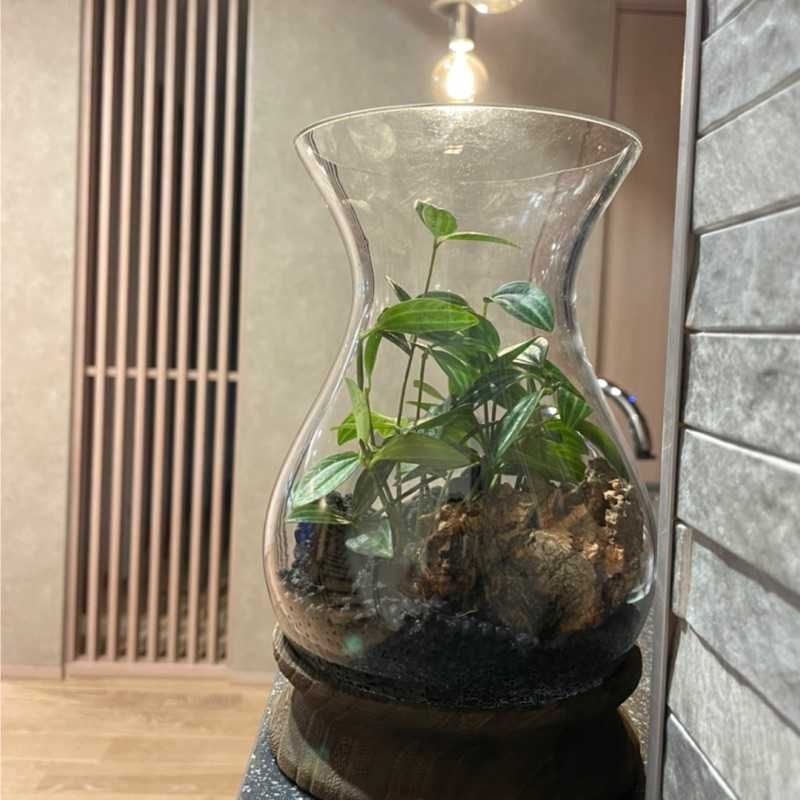 坂下