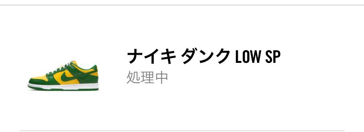 ずっと処理中なんですが同じ人いますか？