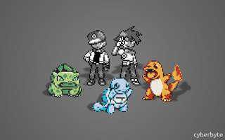 プレミアムポケカデックス