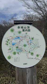 武田