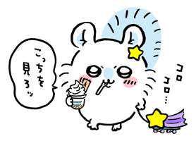 トレカショップ(出品者)