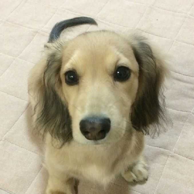 馬越悠