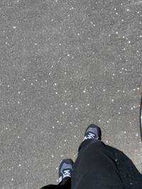 shin