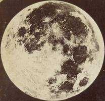 MOON@全品正規品・即購入OK(出品者)