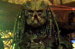 predator