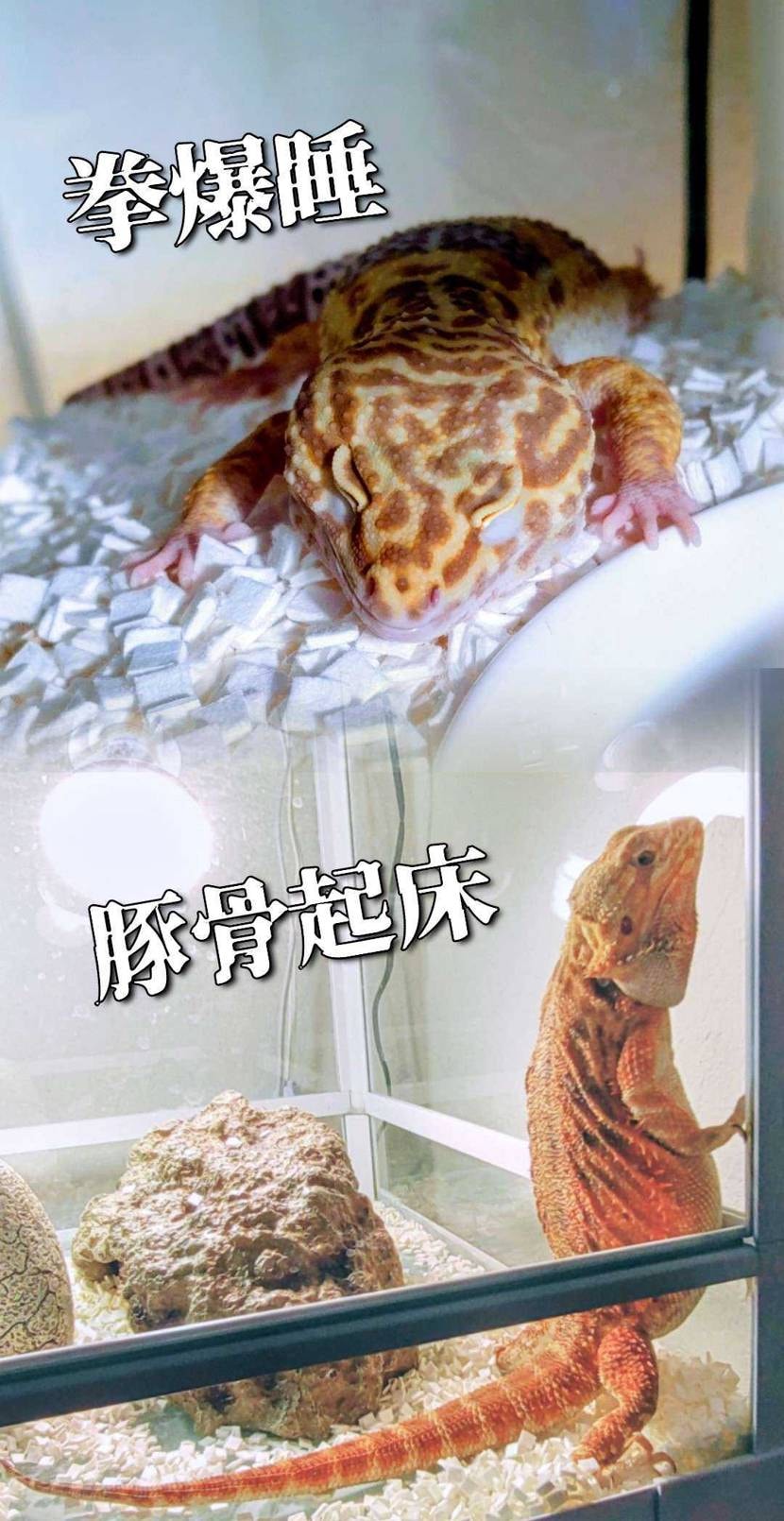 What’s up bro?🙋🏾‍♂️

ちわ〜

