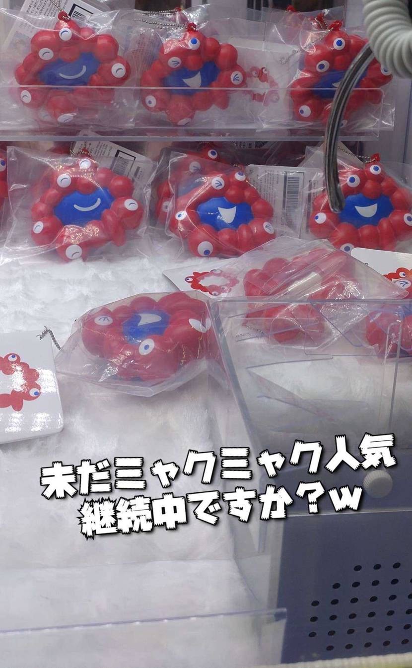 What’s up bro?🙋🏾‍♂️

今日は日中ポカ