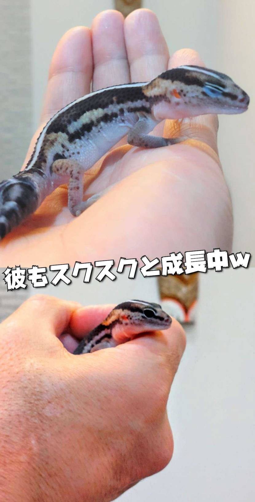 What’s up bro?🙋🏾‍♂️

ネックフェイス