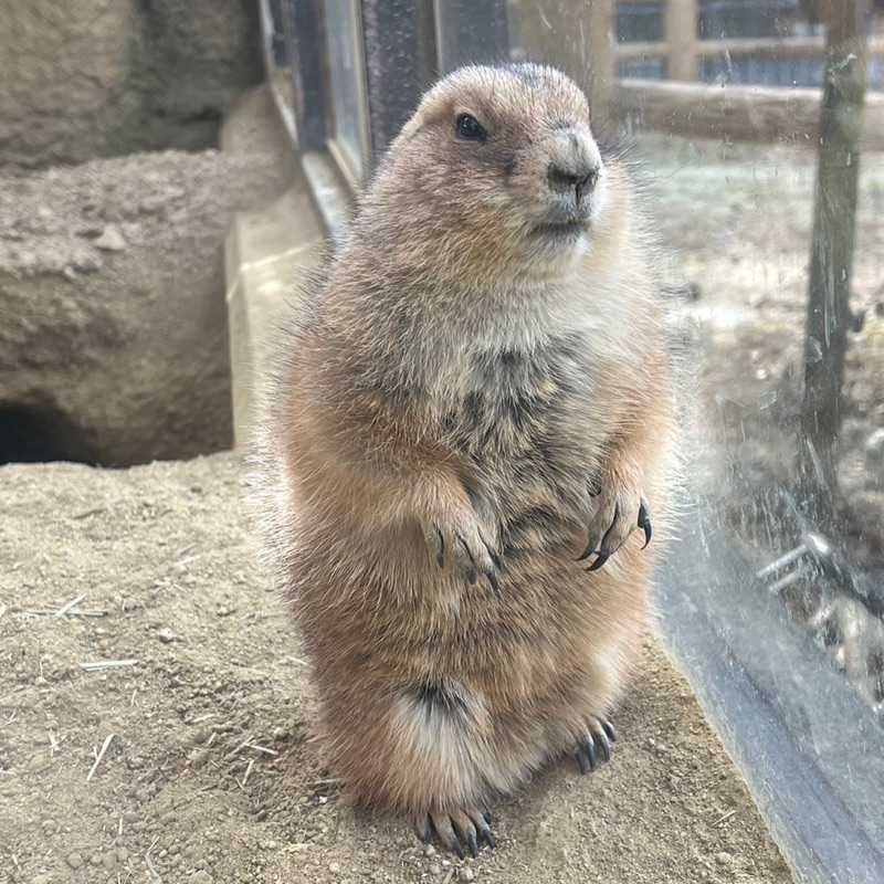 さとる
