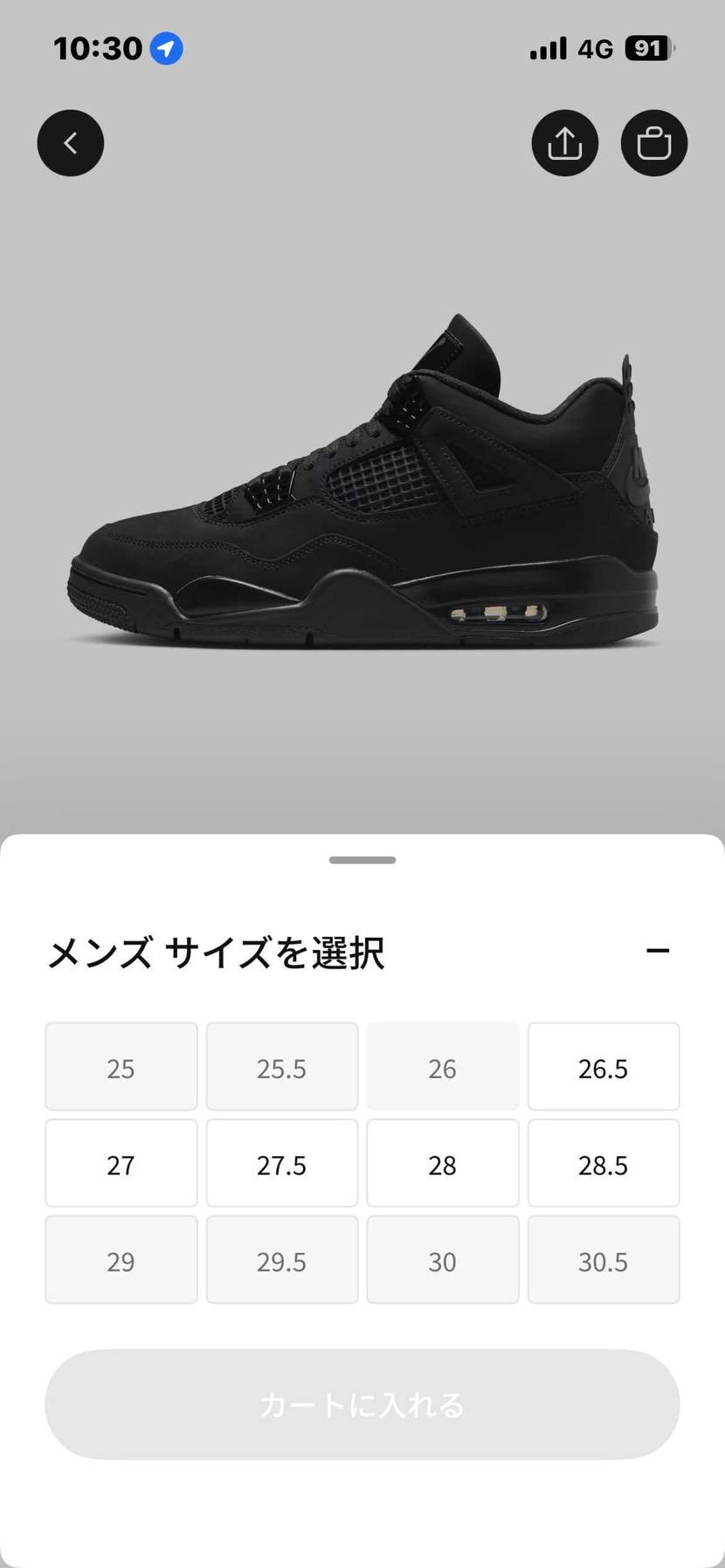 ちょくちょく🐿はあるのか！
安く買いたいのは山々だけれど、そろそろ買わなきゃね