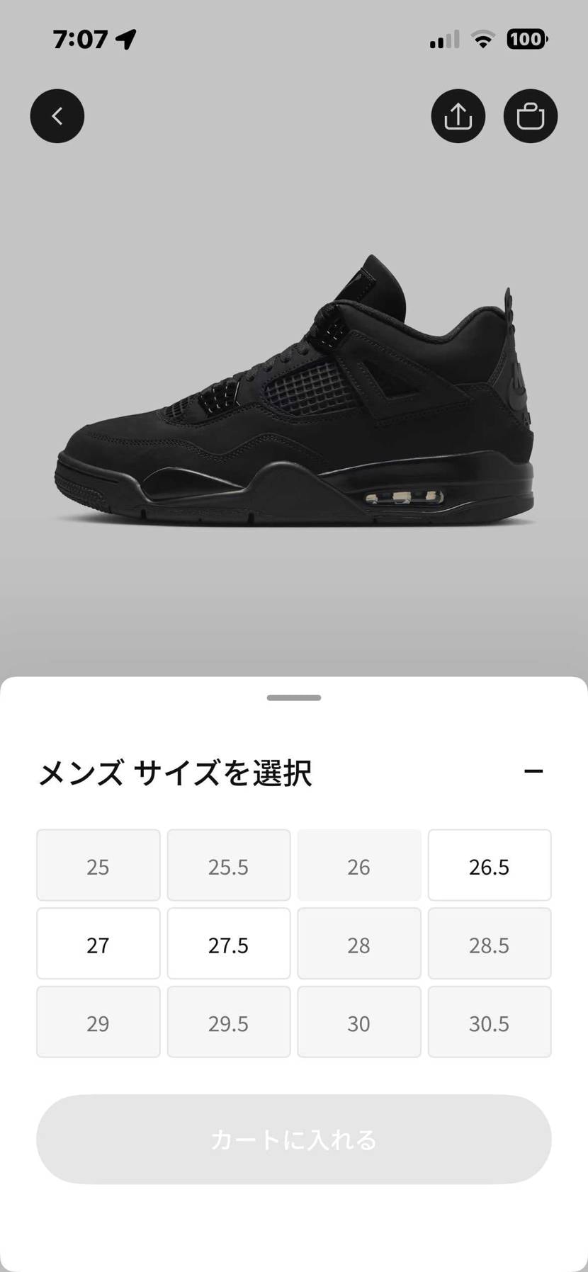 ちょくちょく🐿はあるのか！
安く買いたいのは山々だけれど、