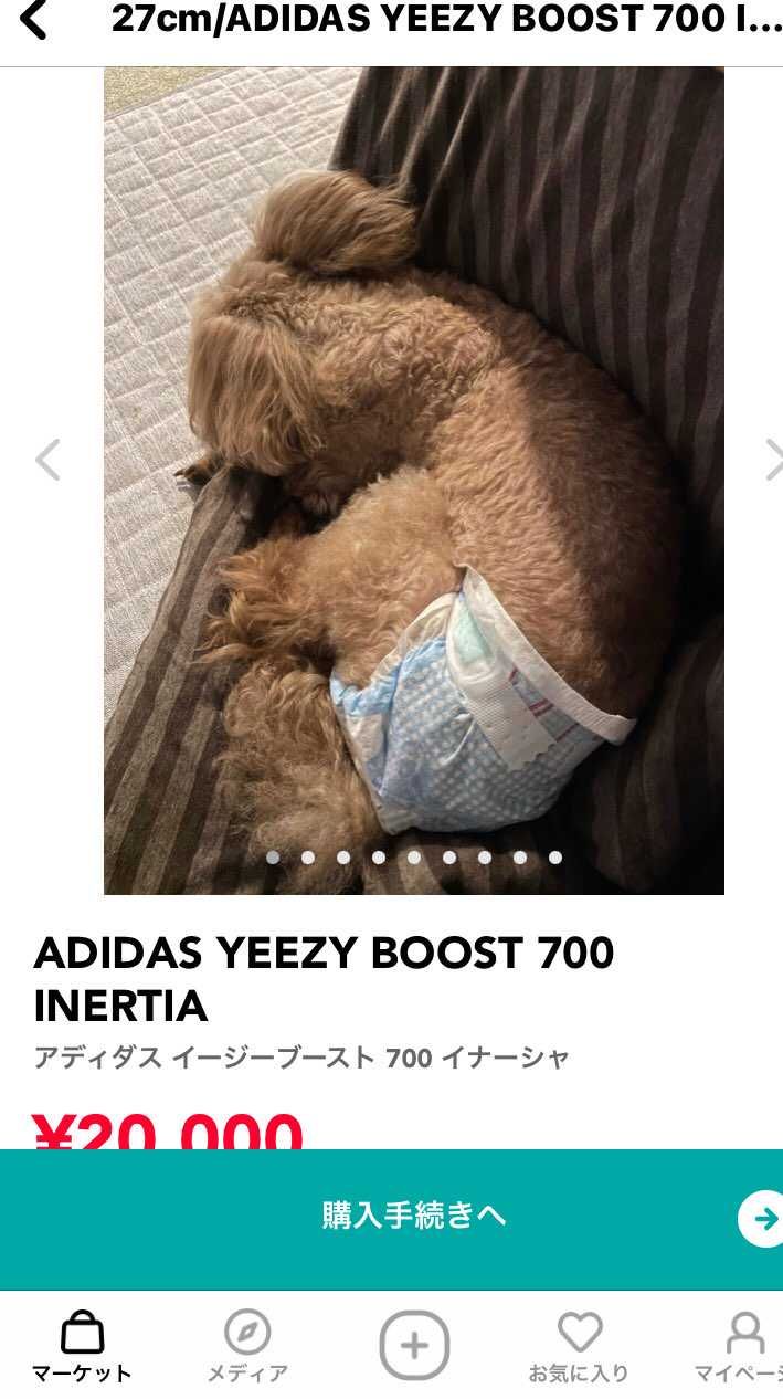 ん？コレイージー