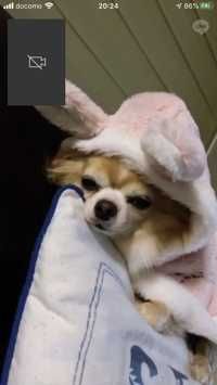 有志