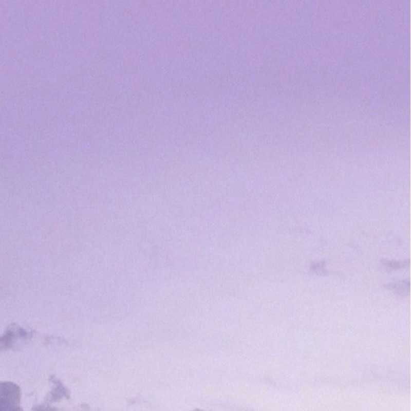 Nunez(出品者)