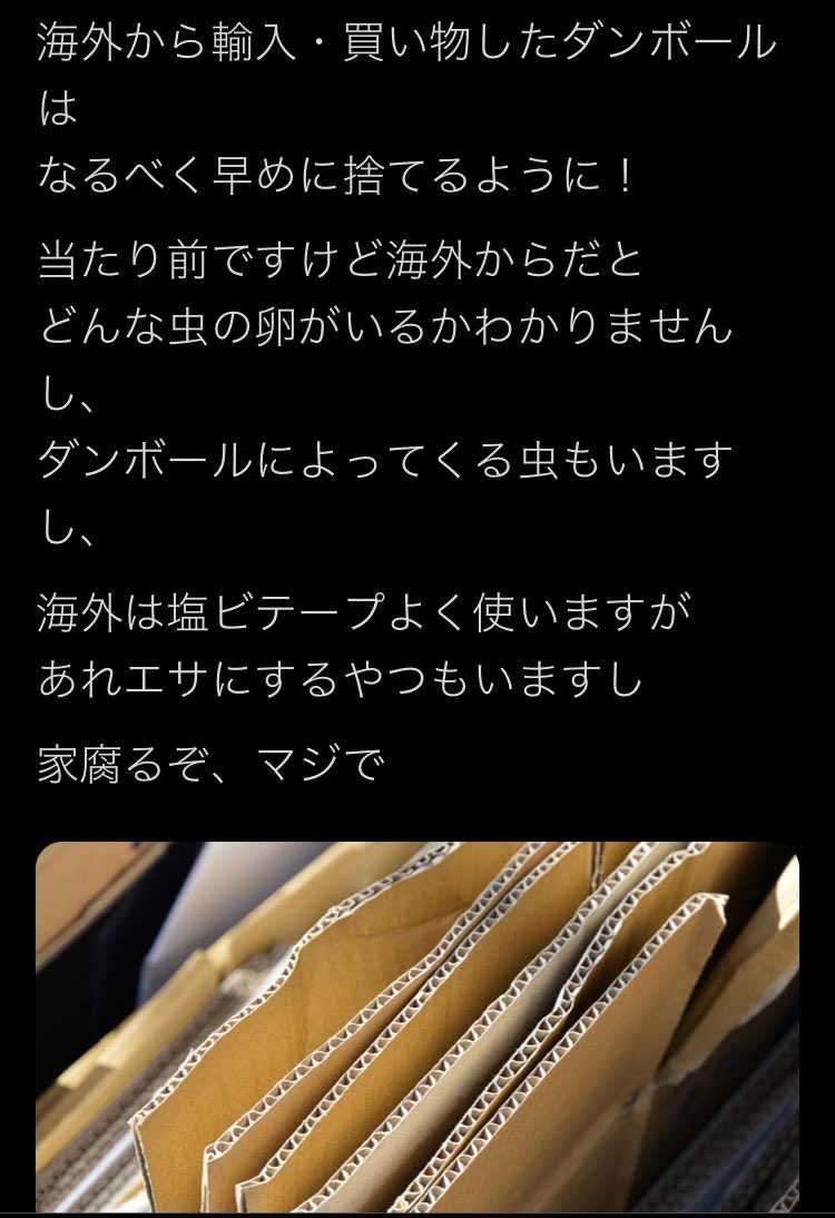 ダンボールはもちろんだけど、普通に考えたらスニーカーの箱もやばいかな…捨てたくな