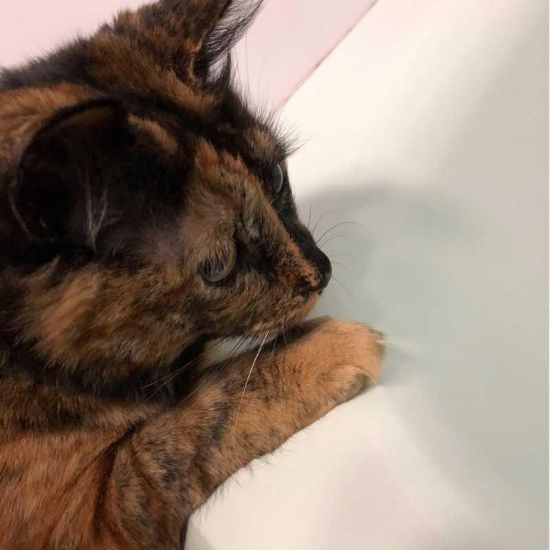こーたろ