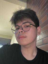 Vincent Adelio Ng