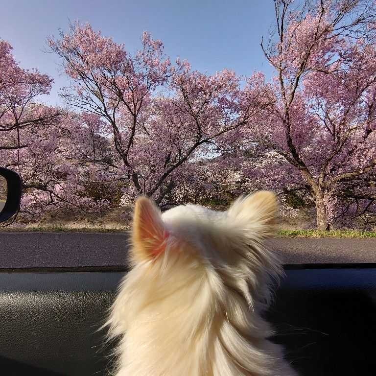 ひろ