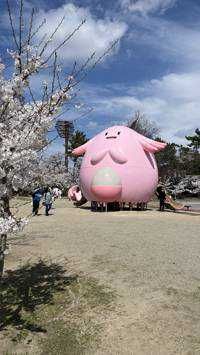 山田 祐生(出品者)