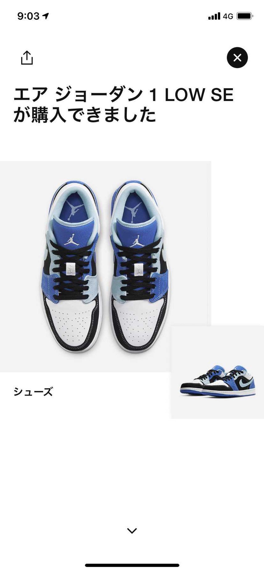 今年4足目GOT'EM❗️
未だdunkは当たらんけど…