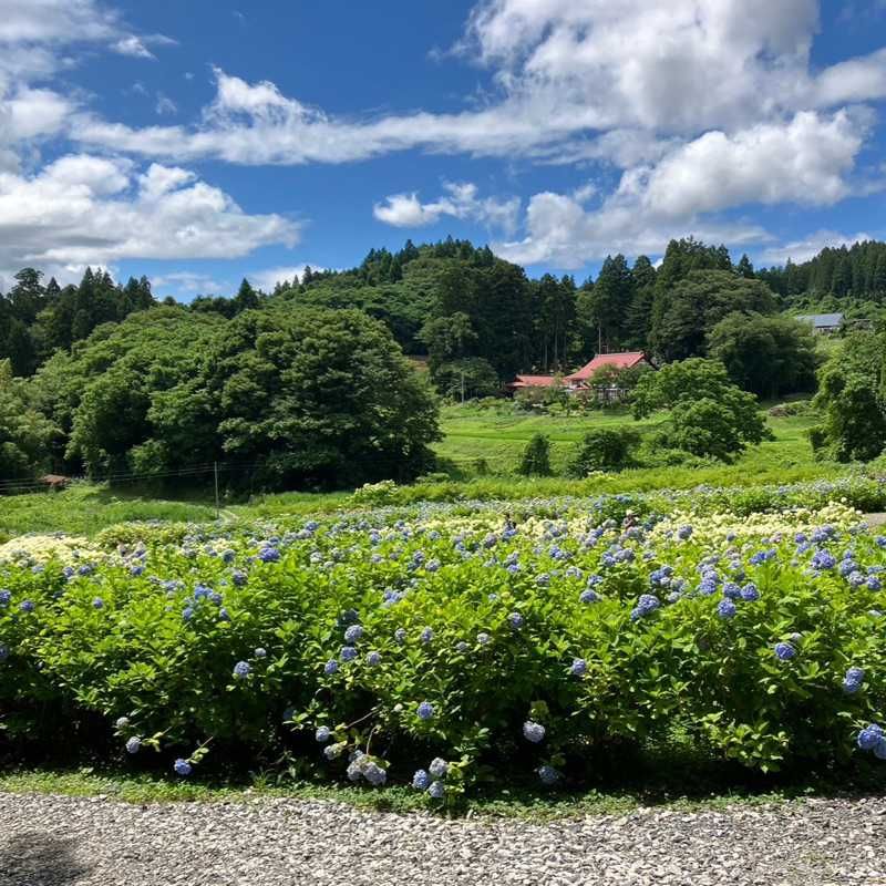 高橋
