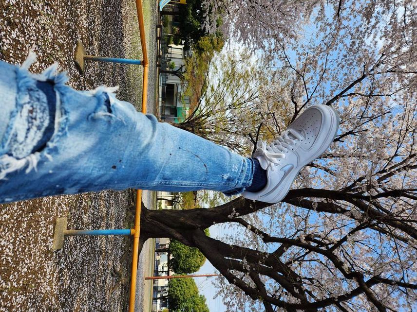 爽やかな白銀履いての散歩の公園!久々のブランコ-w-w
桜もピークが過ぎそうだ