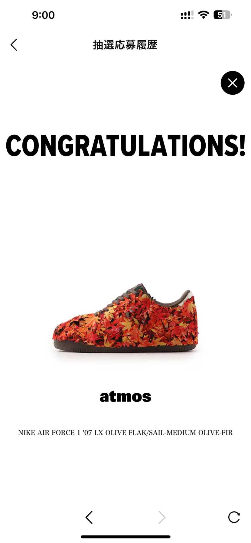 こういう時だけ当選させてくれるatmos😂
でもギミック含め実物見たかったから