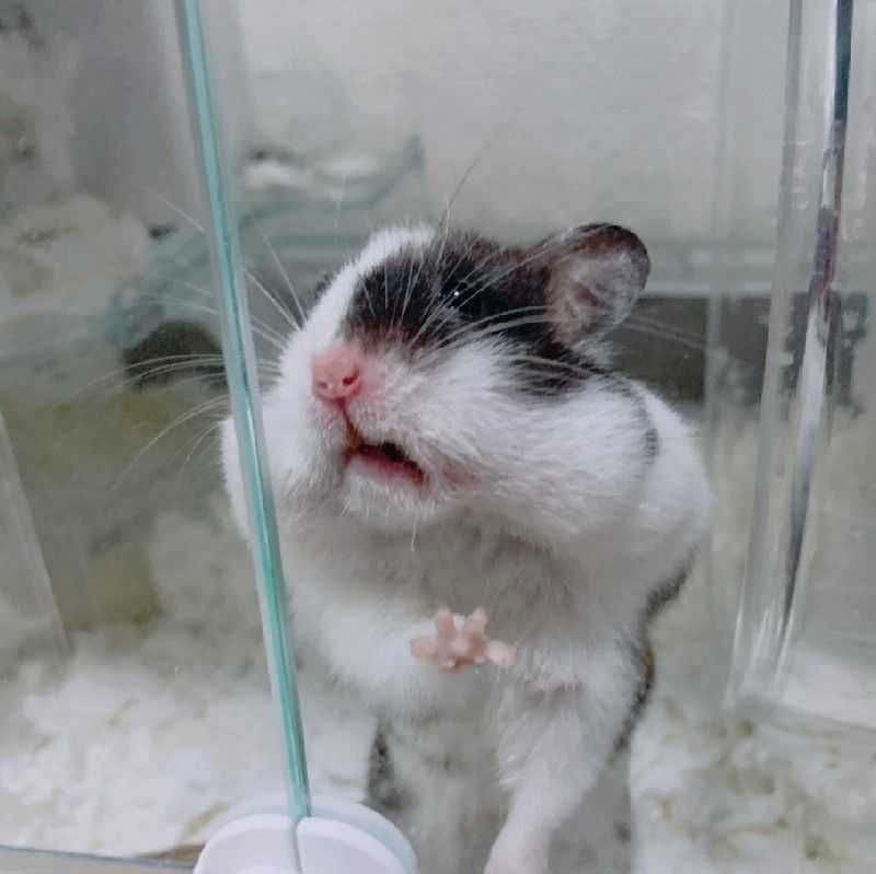 るるる