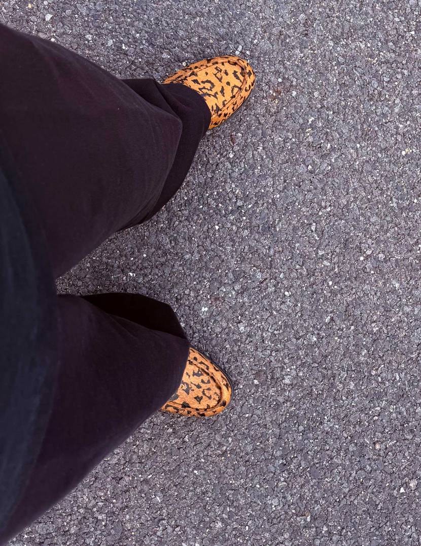 Dashawn Jordan × Nike SB Dunk 