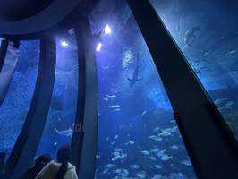 水族館