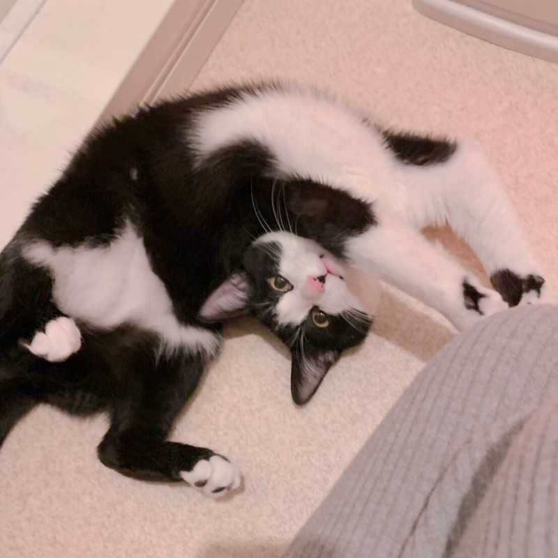 まぐとろ
