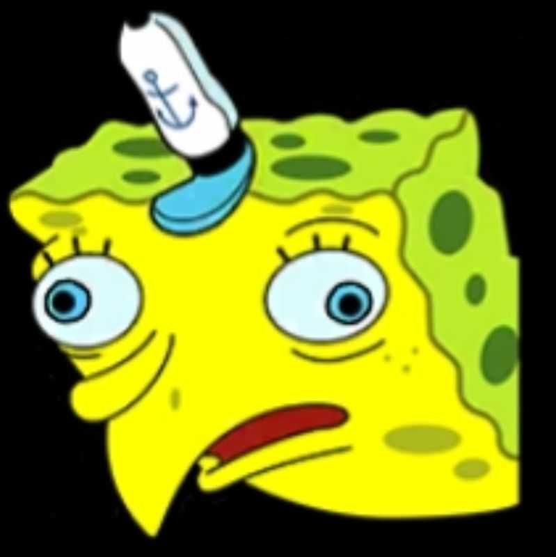 s.s