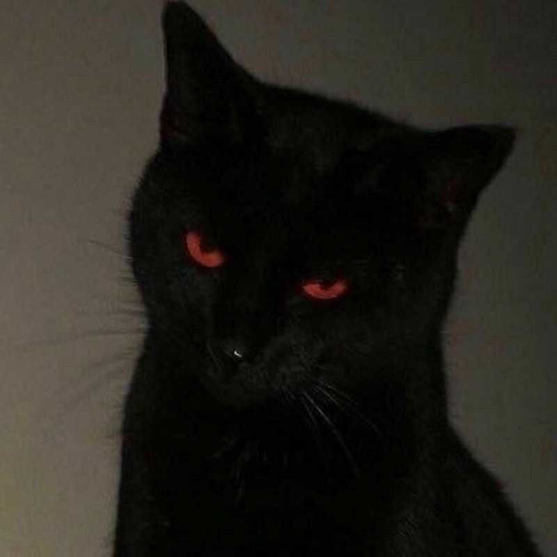 thesmokytopaz