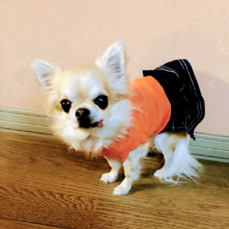 さとうはるな
