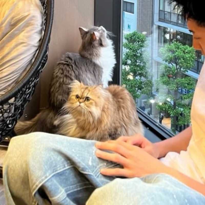 颯天